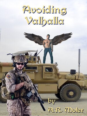 cover image of Avoiding Valhalla